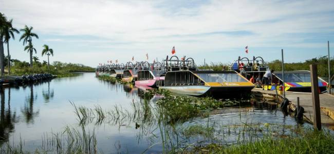 Everglades Airboat Safari